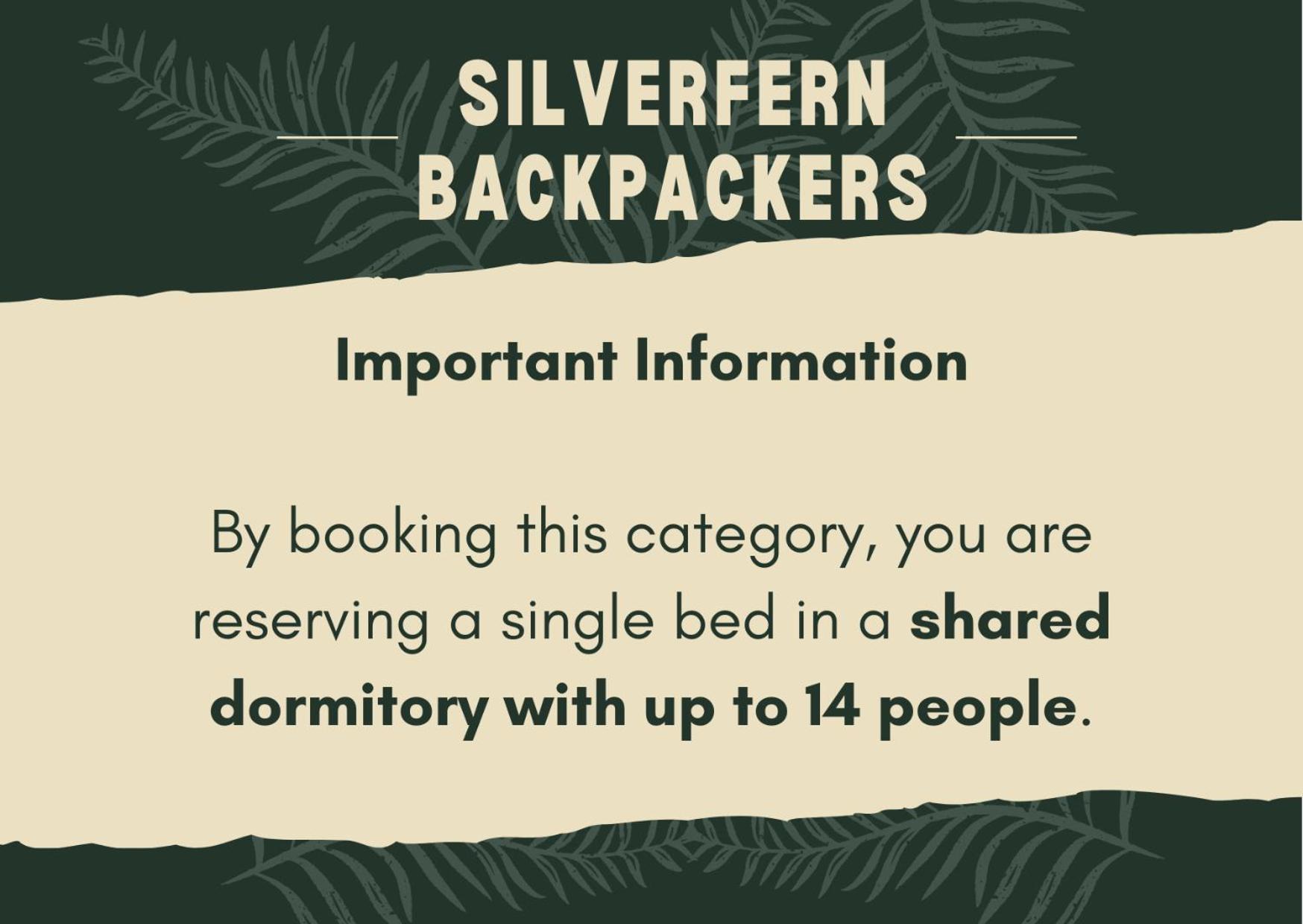 Silverfern Backpackers Auckland Room photo